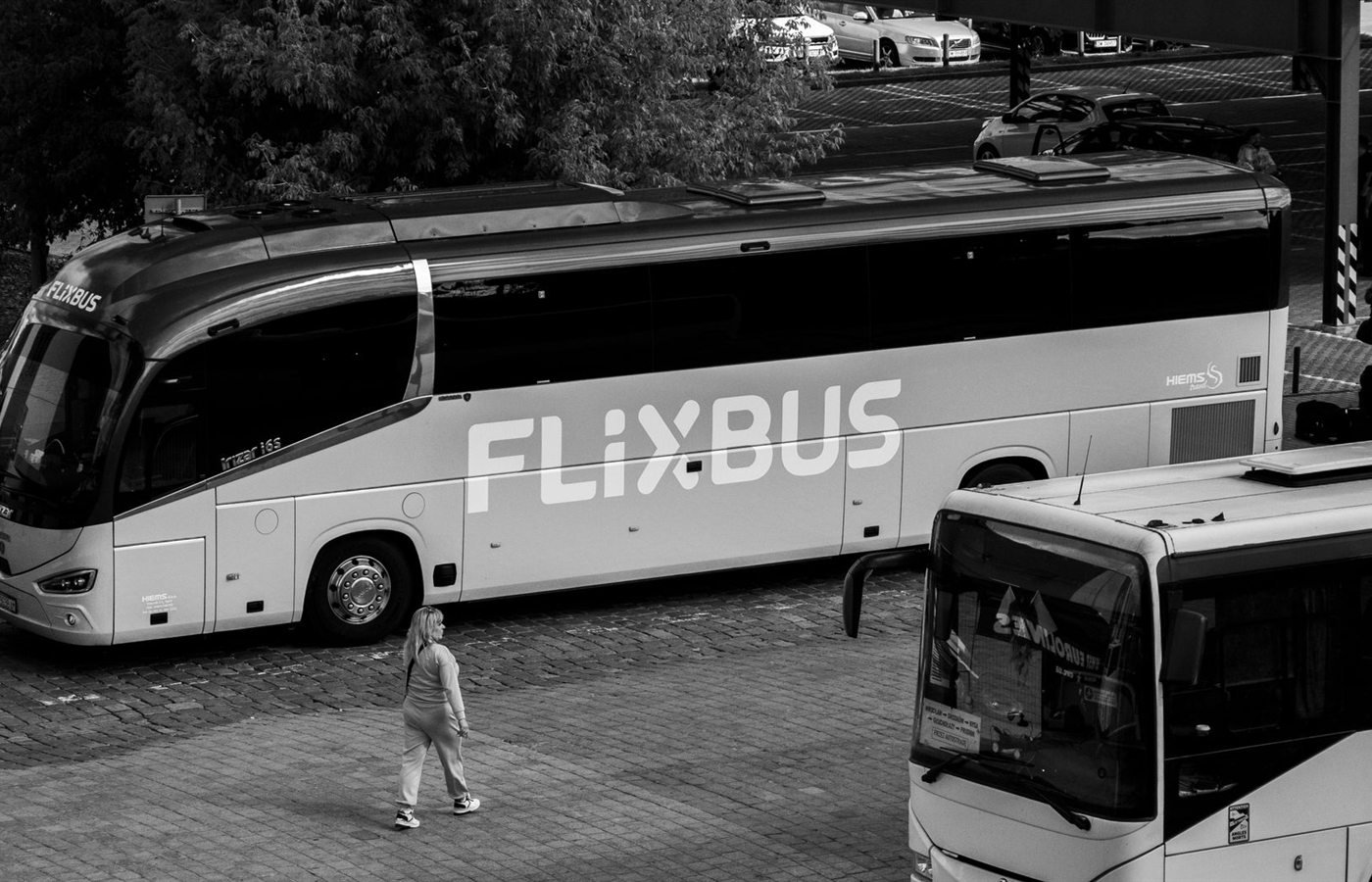 FlixBus Review: Der ruhige Check vor einer schnellen Entscheidung