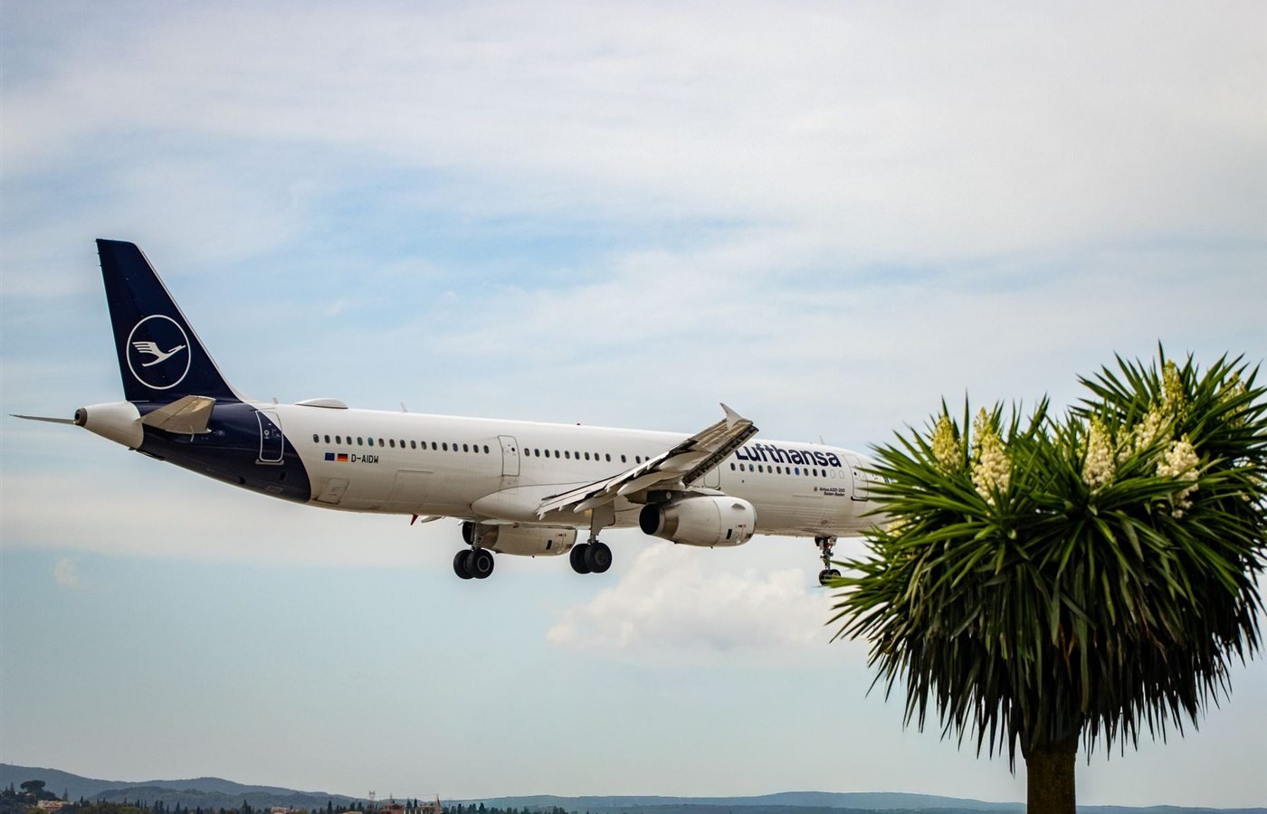 Lufthansa Reise-Check: Buchung, Komfort und Kosten im Blick